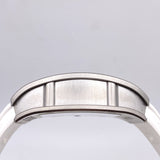 Richard Mille RM 029 Oversized Date Titanium