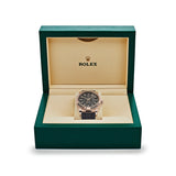 Rolex Sky-Dweller 326235 Rose Gold Rhodium Dial